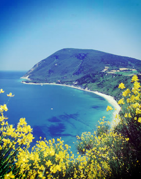 Discoverconero