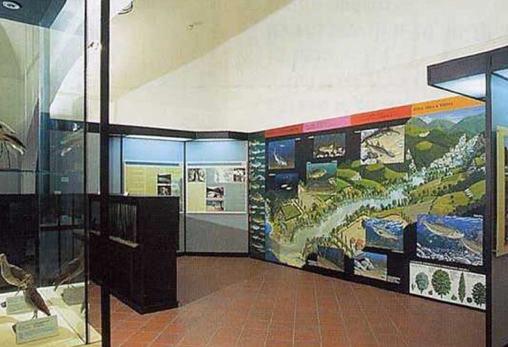 Museo di scienze naturali Luigi Paolucci