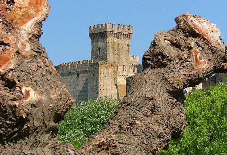 gal_rocca1.jpg